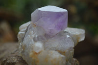 Natural Jacaranda Amethyst Clusters  x 3 From Mumbwa, Zambia - Toprock Gemstones and Minerals 