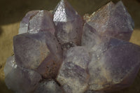 Natural Jacaranda Amethyst Clusters x 2 From Zambia