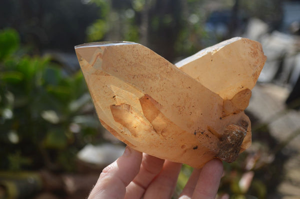 Polished Double Terminated Smokey Quartz Crystals  x 2 From Southern Africa