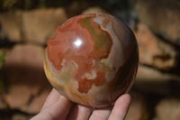 Polished Polychrome Jasper Domed Pieces  x 4 From Mahajanga, Madagascar