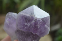 Natural Jacaranda Amethyst Clusters  x 3 From Mumbwa, Zambia - Toprock Gemstones and Minerals 