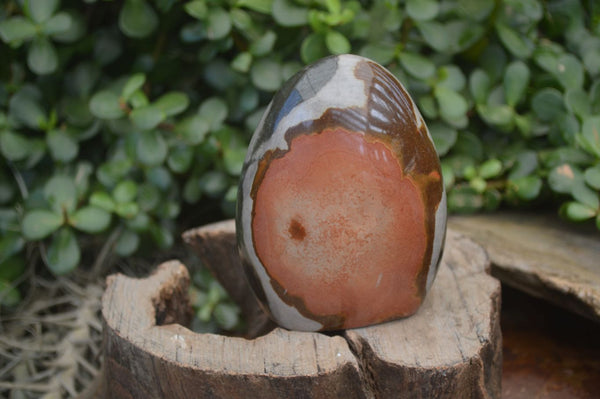 Polished Polychrome Jasper Standing Free Forms  x 3 From Madagascar