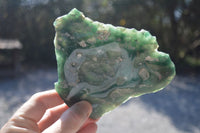 Polished One Side Polished Emerald Mtorolite Plates  x 4 From Zimbabwe - Toprock Gemstones and Minerals 