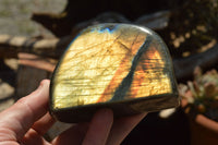 Polished Labradorite Standing Free Forms With Intense Blue & Gold Flash x 3 From Sakoany, Madagascar - TopRock