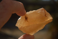 Natural Honey Aragonite Etched & Cobbed Pieces  x 35 From Namibia