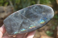 Polished Labradorite Standing Free Forms With Purple & Blue Flash  x 2 From Tulear, Madagascar - Toprock Gemstones and Minerals 