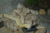 Natural Large White Phantom Smokey Quartz Cluster  x 1 From Luena, Congo - Toprock Gemstones and Minerals 