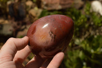 Polished Petrified Red Podocarpus Wood Eggs x 4 From Mahajanga, Madagascar - TopRock