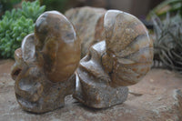 Polished Unique Fossil Matrix Sculptures  x 2 From Madagascar - Toprock Gemstones and Minerals 