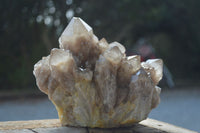 Natural Large White Phantom Smokey Quartz Cluster  x 1 From Luena, Congo - Toprock Gemstones and Minerals 