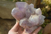 Natural Jacaranda Amethyst Clusters x 2 From Zambia