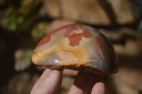 Polished Polychrome Jasper Domed Pieces  x 4 From Mahajanga, Madagascar