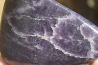 Polished Gem Lithium Mica Lepidolite Standing Free Forms  x 2 From Zimbabwe - Toprock Gemstones and Minerals 