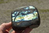 Polished Labradorite Standing Free Forms With Intense Blue & Gold Flash x 3 From Sakoany, Madagascar - TopRock