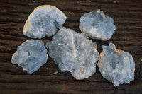 Natural Blue Celestite Crystal Specimens  x 5 From Sakoany, Madagascar - Toprock Gemstones and Minerals 