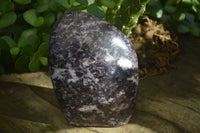 Polished Gem Lithium Mica Lepidolite Standing Free Forms  x 2 From Zimbabwe - Toprock Gemstones and Minerals 