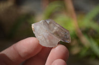 Natural Clear Brandberg Quartz Crystals x 35 From Brandberg, Namibia