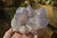 Natural Jacaranda Amethyst Clusters x 2 From Zambia