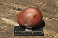 Polished Petrified Red Podocarpus Wood Eggs x 4 From Mahajanga, Madagascar - TopRock