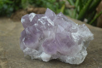 Natural Jacaranda Amethyst Clusters  x 3 From Mumbwa, Zambia - Toprock Gemstones and Minerals 