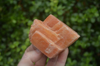 Natural New Sunset Orange Calcite Specimens  x 12 From Spitzkop, Namibia