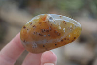 Polished Agate Chalcedony Tumble Stones x 20 From Madagascar