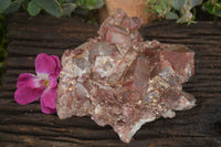 Natural Red Hematoid Quartz Specimen x 1 From Karoi, Zimbabwe - TopRock