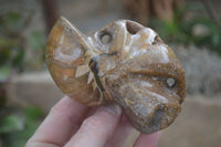 Polished Unique Fossil Matrix Sculptures  x 2 From Madagascar - Toprock Gemstones and Minerals 