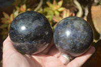 Polished Rare Iolite / Water Sapphire Spheres  x 2 From Northern Cape, South Africa - Toprock Gemstones and Minerals 