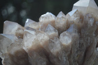 Natural Large White Phantom Smokey Quartz Cluster  x 1 From Luena, Congo - Toprock Gemstones and Minerals 