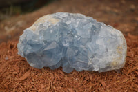 Natural Blue Celestite Crystal Specimens  x 2 From Madagascar - Toprock Gemstones and Minerals 