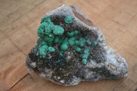 Natural Rare Ball Malachite On Drusi Quartz & Dolomite Matrix  x 2 From Kambove, Congo - Toprock Gemstones and Minerals 