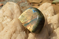 Polished Labradorite Standing Free Forms With Intense Blue & Gold Flash x 3 From Sakoany, Madagascar - TopRock