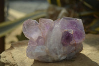 Natural Jacaranda Amethyst Clusters x 2 From Zambia