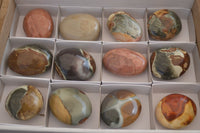 Polished  Polychrome / Picasso Jasper Palm Stones  x 12 From Madagascar