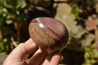 Polished Petrified Red Podocarpus Wood Eggs x 4 From Mahajanga, Madagascar - TopRock