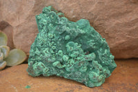 Natural Chatoyant Silky Malachite Specimens  x 4 From Kasompe, Congo