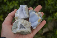 Natural Blue Lace Agate Geode Specimens x 12 From Nsanje, Malawi