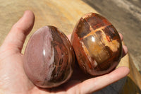 Polished Petrified Red Podocarpus Wood Eggs x 4 From Mahajanga, Madagascar - TopRock