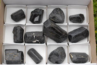 Natural Large Affordable Alluvial Black Tourmaline Crystals x 12 From Zimbabwe - TopRock