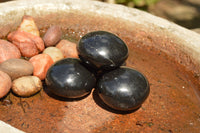 Polished Black Basalt "Hot Rock" Massage Palm Stones  x 12 From Madagascar - TopRock