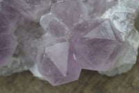 Natural Jacaranda Amethyst Clusters  x 3 From Mumbwa, Zambia - Toprock Gemstones and Minerals 