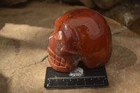 Polished Red Jasper Skull Carving  x 1 From Madagascar - Toprock Gemstones and Minerals 