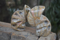 Polished Unique Fossil Matrix Sculptures  x 2 From Madagascar - Toprock Gemstones and Minerals 