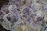 Natural Sugar Amethyst Quartz Cluster  x 1 From Zambia - Toprock Gemstones and Minerals 