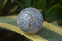 Polished Purple Lepidolite Spheres  x 6 From Madagascar - Toprock Gemstones and Minerals 