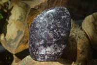 Polished Gem Lithium Mica Lepidolite Standing Free Forms  x 2 From Zimbabwe - Toprock Gemstones and Minerals 