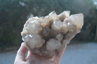 Natural Large White Phantom Smokey Quartz Cluster  x 1 From Luena, Congo - Toprock Gemstones and Minerals 