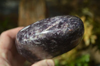 Polished Gem Lithium Mica Lepidolite Standing Free Forms  x 2 From Zimbabwe - Toprock Gemstones and Minerals 