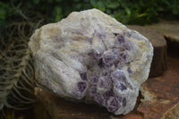 Natural Sugar Amethyst Quartz Cluster  x 1 From Zambia - Toprock Gemstones and Minerals 